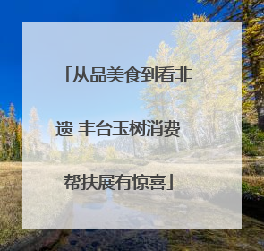 从品美食到看非遗 丰台玉树消费帮扶展有惊喜
