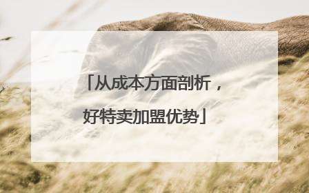从成本方面剖析，好特卖加盟优势