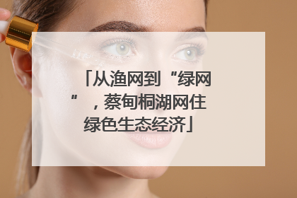 从渔网到“绿网”，蔡甸桐湖网住绿色生态经济