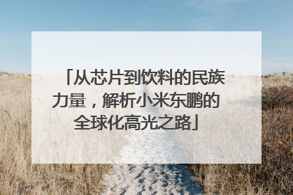 从芯片到饮料的民族力量，解析小米东鹏的全球化高光之路