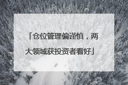 仓位管理偏谨慎，两大领域获投资者看好