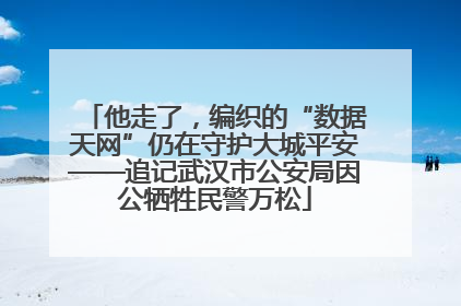 他走了，编织的“数据天网”仍在守护大城平安——追记武汉市公安局因公牺牲民警万松