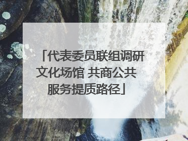 代表委员联组调研文化场馆 共商公共服务提质路径