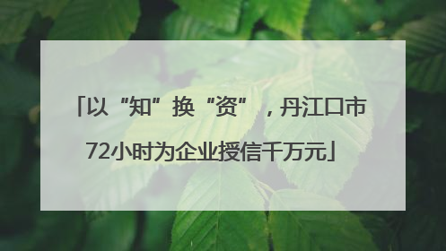 以“知”换“资”，丹江口市72小时为企业授信千万元