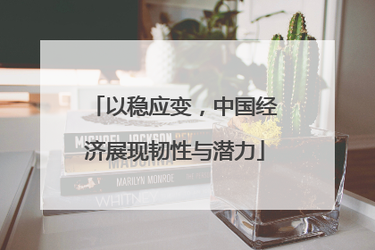 以稳应变，中国经济展现韧性与潜力