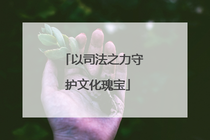 以司法之力守护文化瑰宝