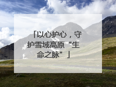 以心护心，守护雪域高原“生命之脉”