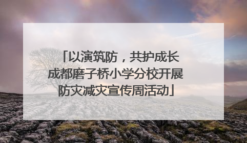 以演筑防，共护成长 成都磨子桥小学分校开展防灾减灾宣传周活动