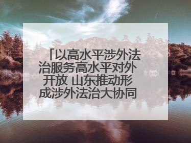 以高水平涉外法治服务高水平对外开放 山东推动形成涉外法治大协同工作格局