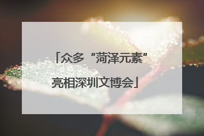 众多“菏泽元素”亮相深圳文博会