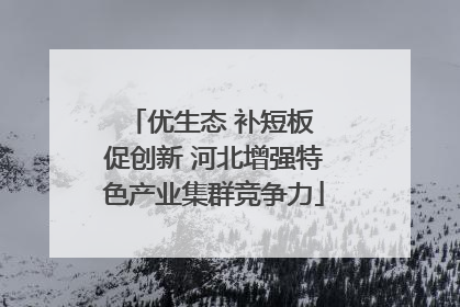 优生态 补短板 促创新 河北增强特色产业集群竞争力
