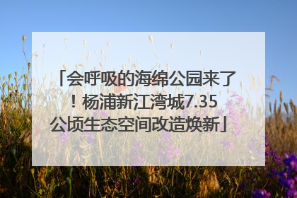 会呼吸的海绵公园来了！杨浦新江湾城7.35公顷生态空间改造焕新
