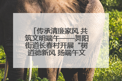 传承清廉家风 共筑文明端午——舞阳街道长春村开展“树道德新风 扬端午文化”主题活动