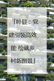 叶县：党建引领高效能 绘就乡村新图景