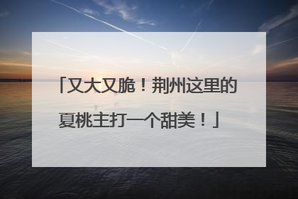 又大又脆！荆州这里的夏桃主打一个甜美！