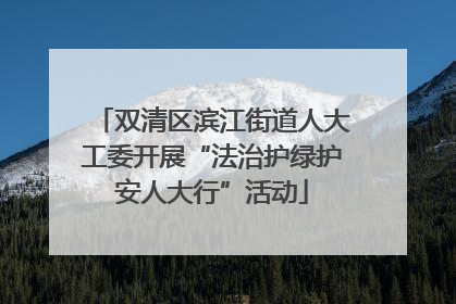 双清区滨江街道人大工委开展“法治护绿护安人大行”活动