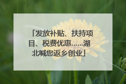 发放补贴、扶持项目、税费优惠……湖北喊您返乡创业