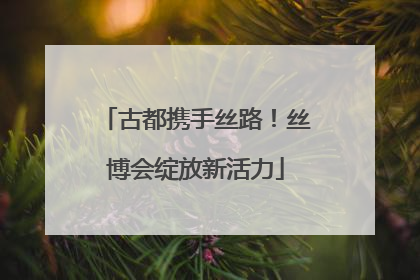 古都携手丝路！丝博会绽放新活力