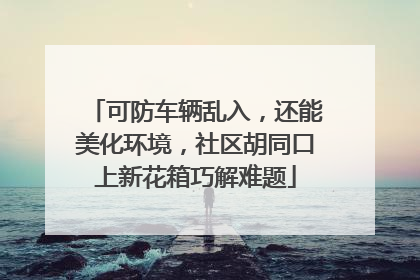 可防车辆乱入，还能美化环境，社区胡同口上新花箱巧解难题