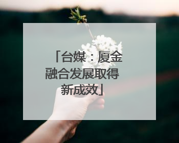 台媒：厦金融合发展取得新成效