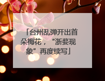 台州乱弹开出首朵梅花，“浙婺现象”再度续写