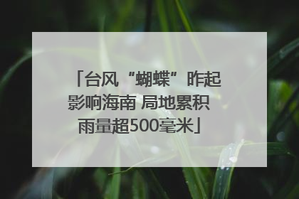 台风“蝴蝶”昨起影响海南 局地累积雨量超500毫米
