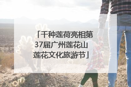 千种莲荷亮相第37届广州莲花山莲花文化旅游节