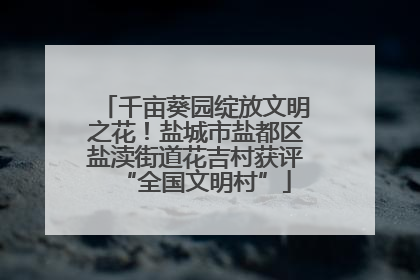 千亩葵园绽放文明之花！盐城市盐都区盐渎街道花吉村获评“全国文明村”