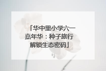 华中里小学六一嘉年华：种子旅行解锁生态密码