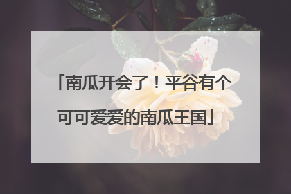 南瓜开会了！平谷有个可可爱爱的南瓜王国