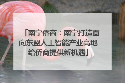 南宁侨商：南宁打造面向东盟人工智能产业高地给侨商提供新机遇