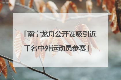 南宁龙舟公开赛吸引近千名中外运动员参赛