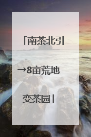 南茶北引→8亩荒地变茶园