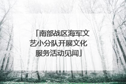 南部战区海军文艺小分队开展文化服务活动见闻