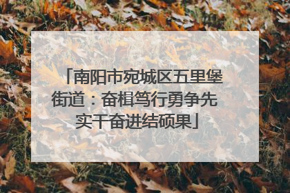 南阳市宛城区五里堡街道：奋楫笃行勇争先 实干奋进结硕果