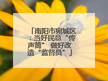 南阳市宛城区：当好民意“传声筒” 做好改造“监督员”