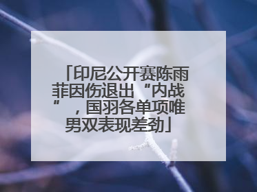 印尼公开赛陈雨菲因伤退出“内战”，国羽各单项唯男双表现差劲