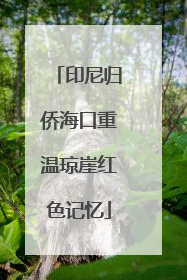 印尼归侨海口重温琼崖红色记忆