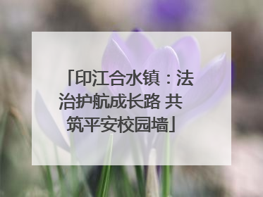 印江合水镇：法治护航成长路 共筑平安校园墙