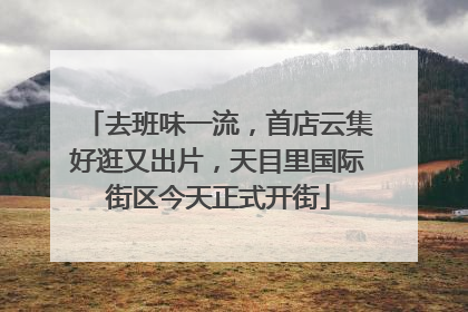 去班味一流，首店云集好逛又出片，天目里国际街区今天正式开街