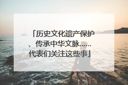 历史文化遗产保护、传承中华文脉……代表们关注这些事
