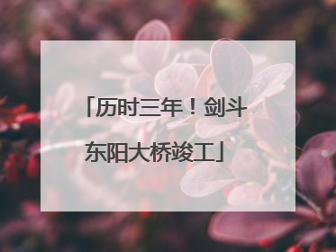 历时三年！剑斗东阳大桥竣工