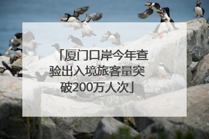 厦门口岸今年查验出入境旅客量突破200万人次