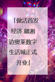 做活首发经济 赣湘边奥莱数字生活城正式开业