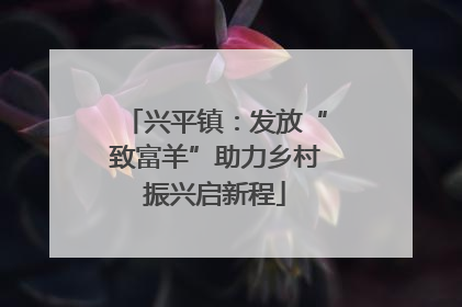 兴平镇：发放“致富羊”助力乡村振兴启新程