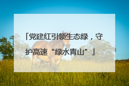 党建红引领生态绿，守护高速“绿水青山”