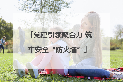 党建引领聚合力 筑牢安全“防火墙”
