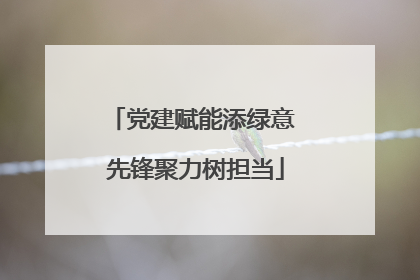 党建赋能添绿意 先锋聚力树担当