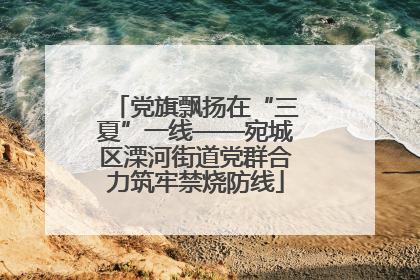 党旗飘扬在“三夏”一线——宛城区溧河街道党群合力筑牢禁烧防线