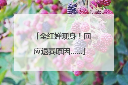 全红婵现身！回应退赛原因……